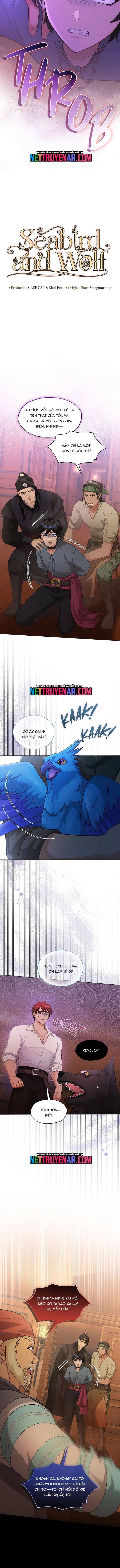 Hải Âu &amp; Sói Hoang [Chap 47-74]