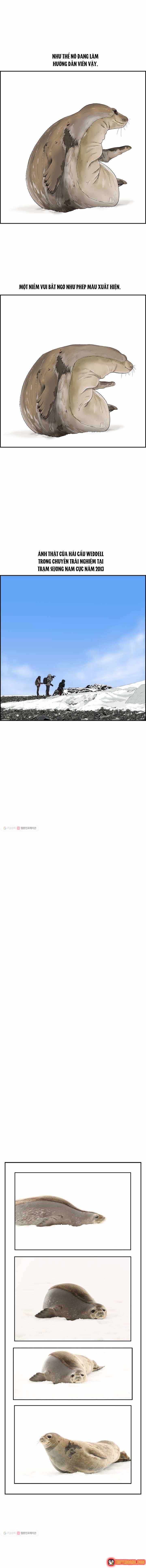 Cá Con (Vảy Cá) Chap 30 - Next Chap 29