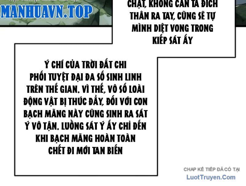 Ta Mô Phỏng Con Đường Trường Sinh Chap 32 - Next Chap 31