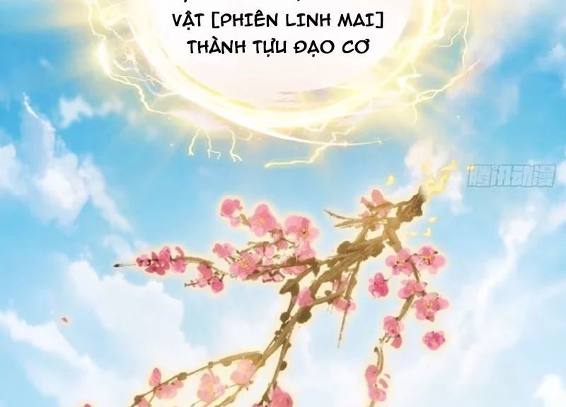 Ta Mô Phỏng Con Đường Trường Sinh Chap 32 - Next Chap 31