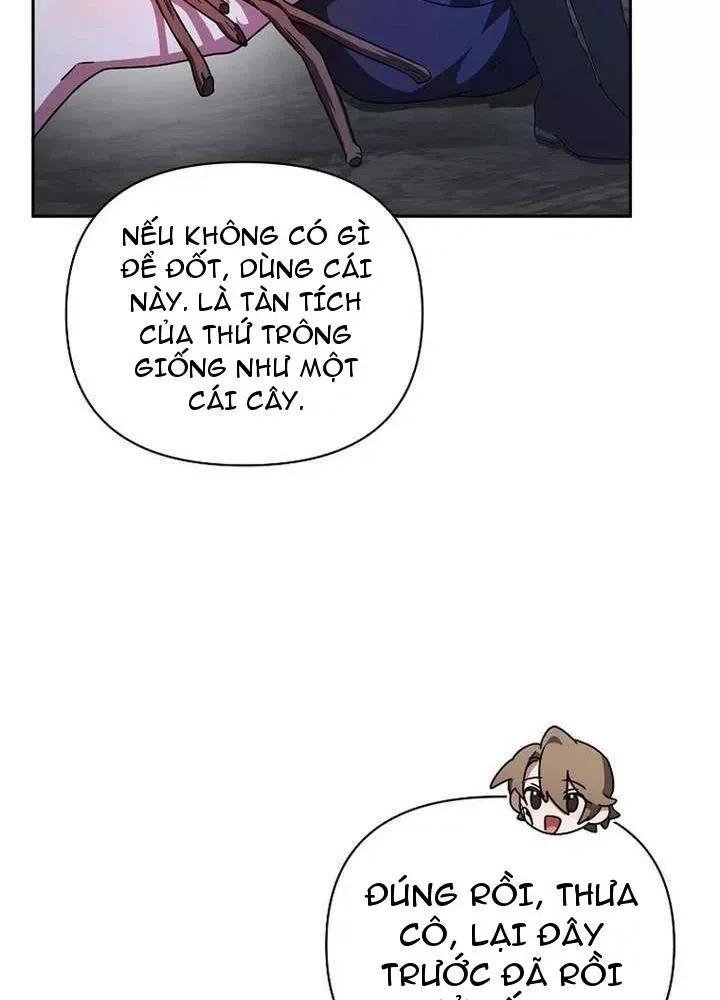 Bậc Thầy Giả Mạo Vô Tình Trở Thành Kẻ Mạnh Nhất Chap 26 - Next Chap 25