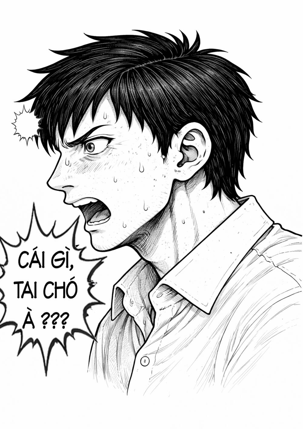 It Việt Nam Tái Sinh Tại Dị Giới Chap 14 - Next Chap 13