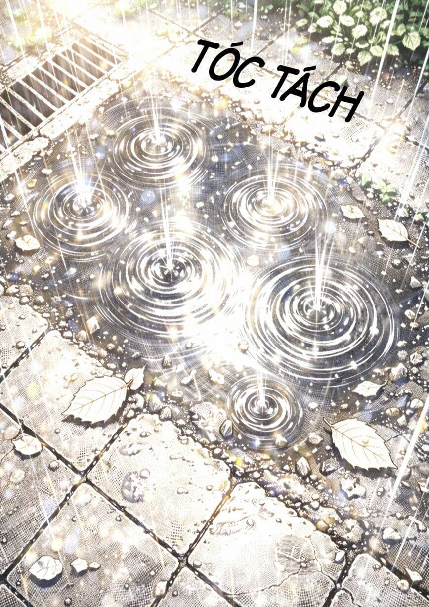 It Việt Nam Tái Sinh Tại Dị Giới Chap 16 - Next Chap 15