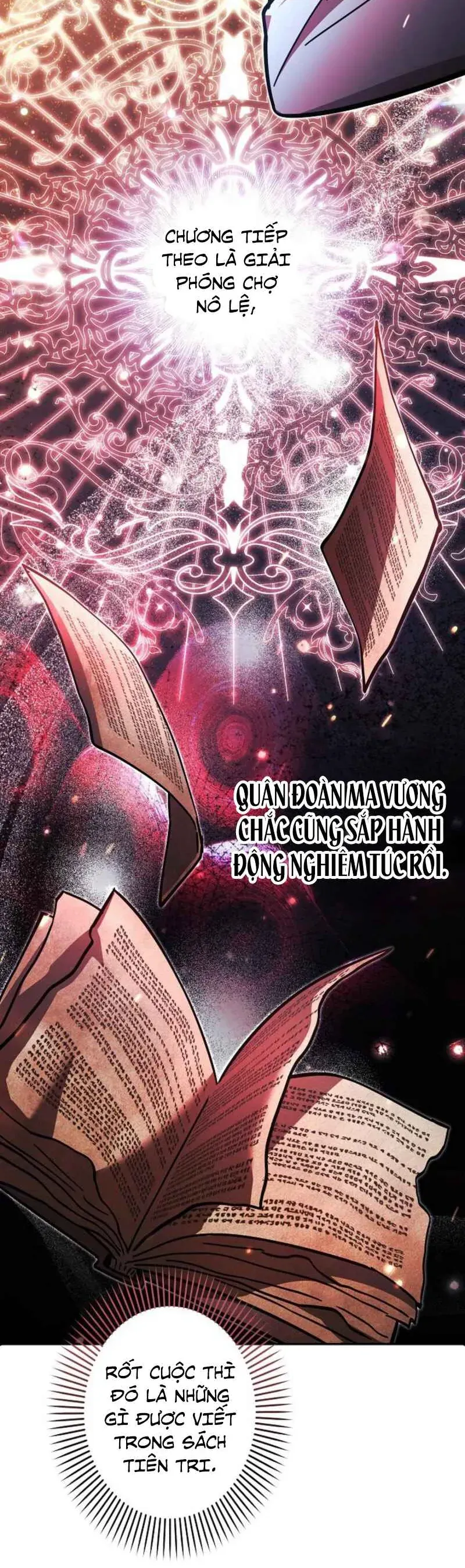 Các Nữ Anh Hùng Muốn Giết Tôi Một Anh Hùng [Chap 37]