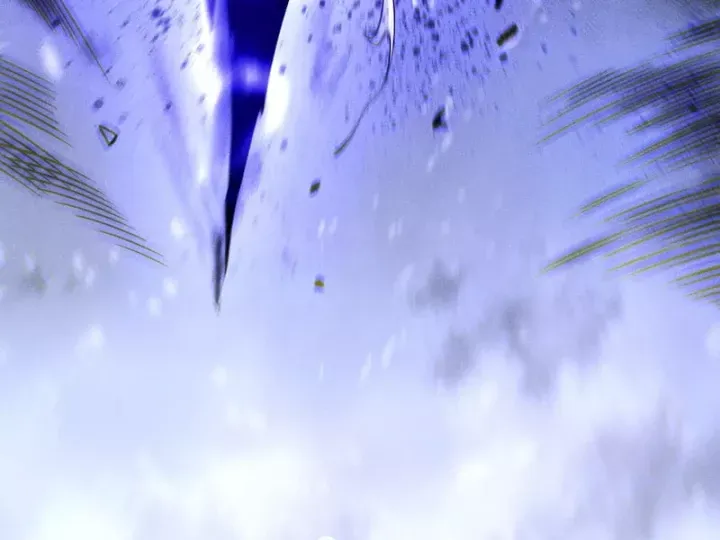 Thảm Họa Tử Linh Sư Chap 246 - Next Chap 245