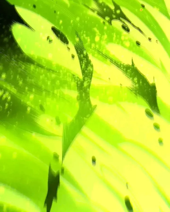 Thảm Họa Tử Linh Sư Chap 247 - Next Chap 246