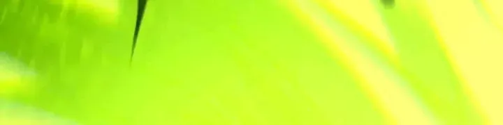 Thảm Họa Tử Linh Sư Chap 247 - Next Chap 246