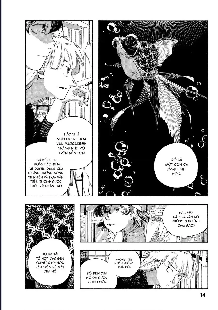 Đêm Của Kẻ Khờ Chap 36 - Next Chap 35