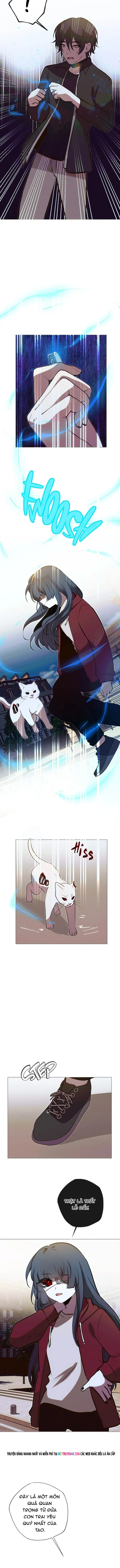 Trọng Sinh Mạc Thế Chap 240 - Next Chap 239