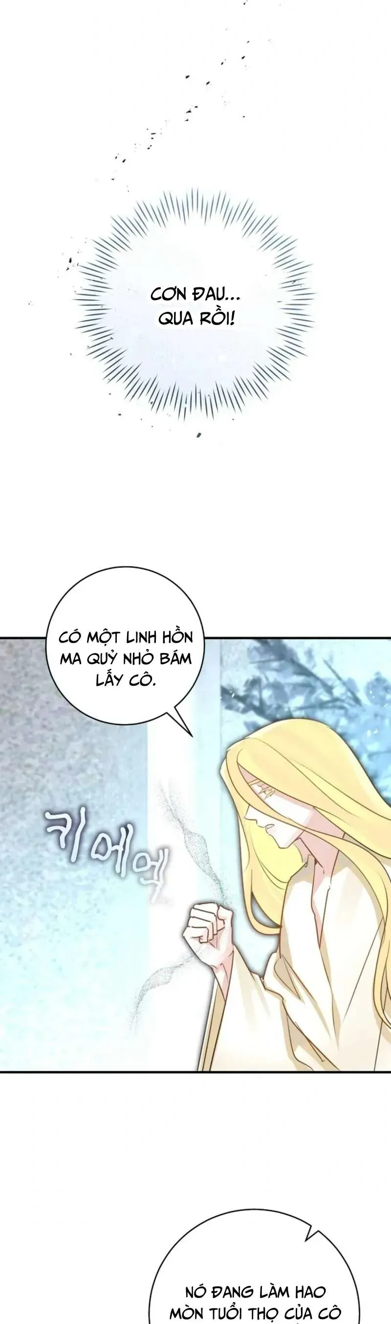 Cuộc hôn nhân xa hoa của đại công tước là giả Chap 96 - Next Chap 95