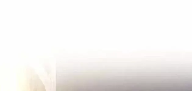 Chính Trị Gia Nhìn Thấu Vận Mệnh Chap 12 - Next Chap 11