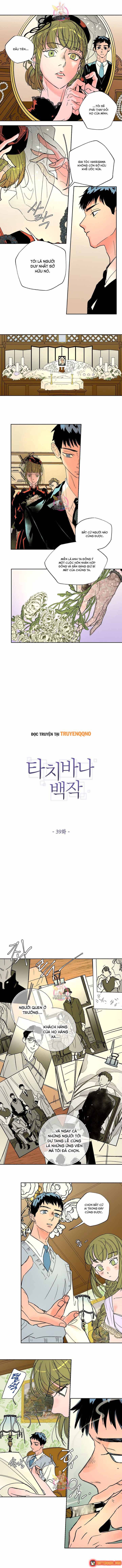 Bá Tước Tachibana Chap 39 - Next Chap 38