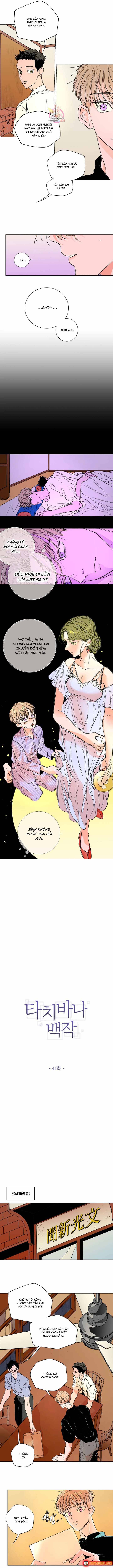 Bá Tước Tachibana Chap 41 - Next Chap 40