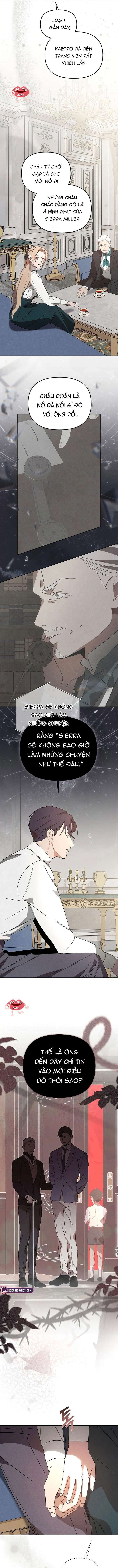 Nơi Đóa Hồng Vàng Úa Tàn Chap 29 - Next Chap 28