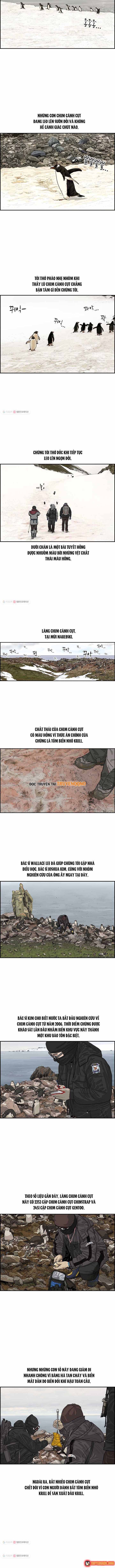 Cá Con (Vảy Cá) Chap 31 - Next Chap 30