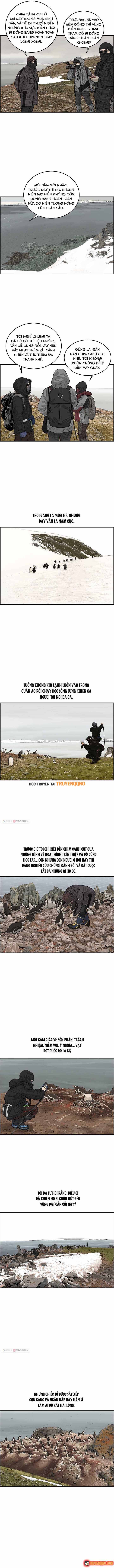 Cá Con (Vảy Cá) Chap 31 - Next Chap 30