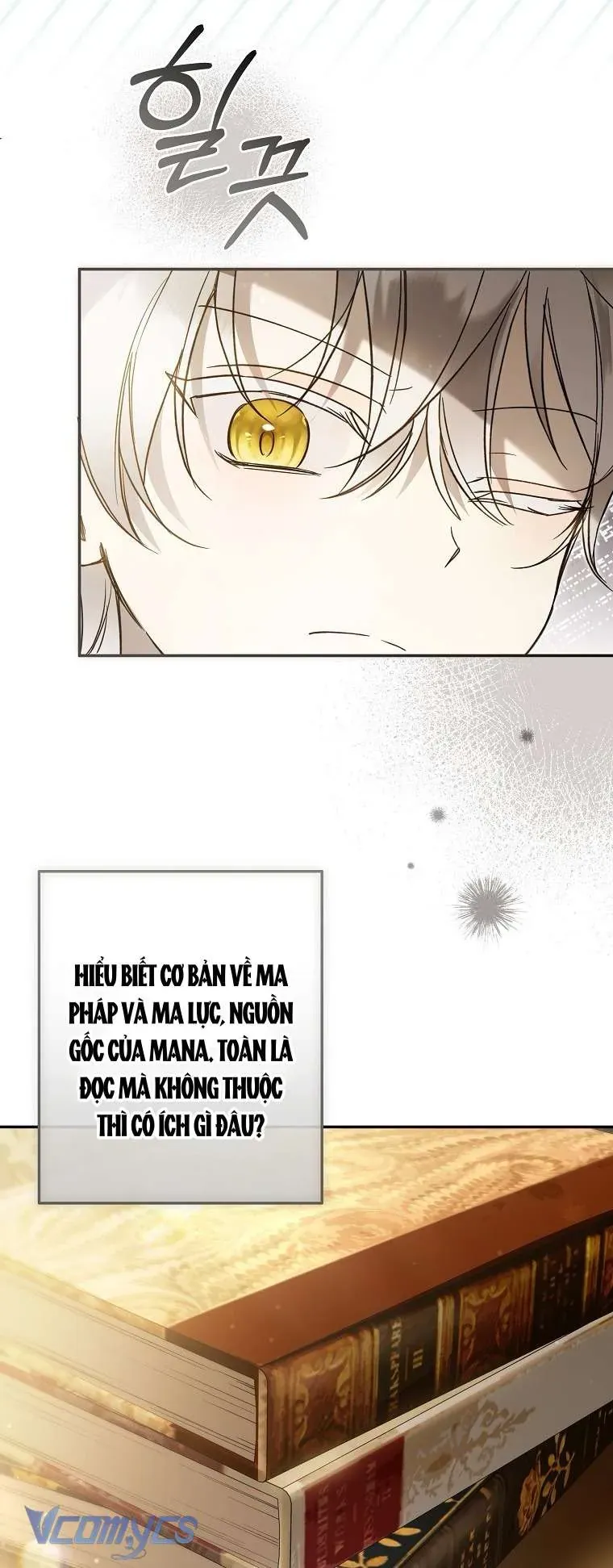 Độc Chiếm Sủng Ái Của Công Chúa Út, Mọi Người Đều Say Mê Tôi. Chap 41 - Next Chap 40