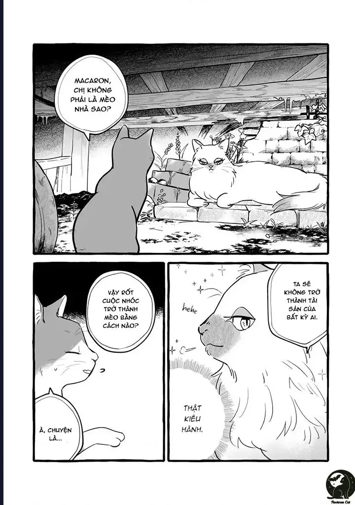 Liệu Có Thể Tìm Được Một Công Việc Lâu Dài Không? Bắt Đầu Cuộc Sống Mới Với Một Vị Pháp Sư Ít Nói Và Khó Gần~ Chap 11 - Next Chap 10