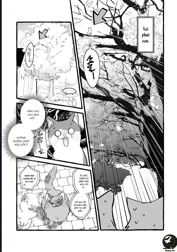 Liệu Có Thể Tìm Được Một Công Việc Lâu Dài Không? Bắt Đầu Cuộc Sống Mới Với Một Vị Pháp Sư Ít Nói Và Khó Gần~ Chap 11 - Next Chap 10