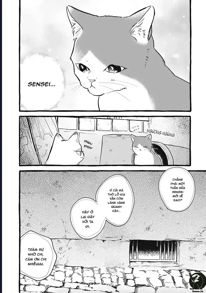 Liệu Có Thể Tìm Được Một Công Việc Lâu Dài Không? Bắt Đầu Cuộc Sống Mới Với Một Vị Pháp Sư Ít Nói Và Khó Gần~ Chap 11 - Next Chap 10