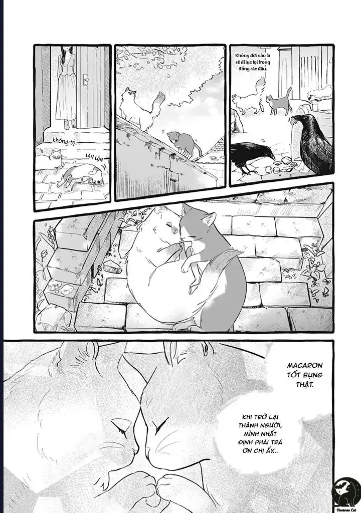 Liệu Có Thể Tìm Được Một Công Việc Lâu Dài Không? Bắt Đầu Cuộc Sống Mới Với Một Vị Pháp Sư Ít Nói Và Khó Gần~ Chap 11 - Next Chap 10