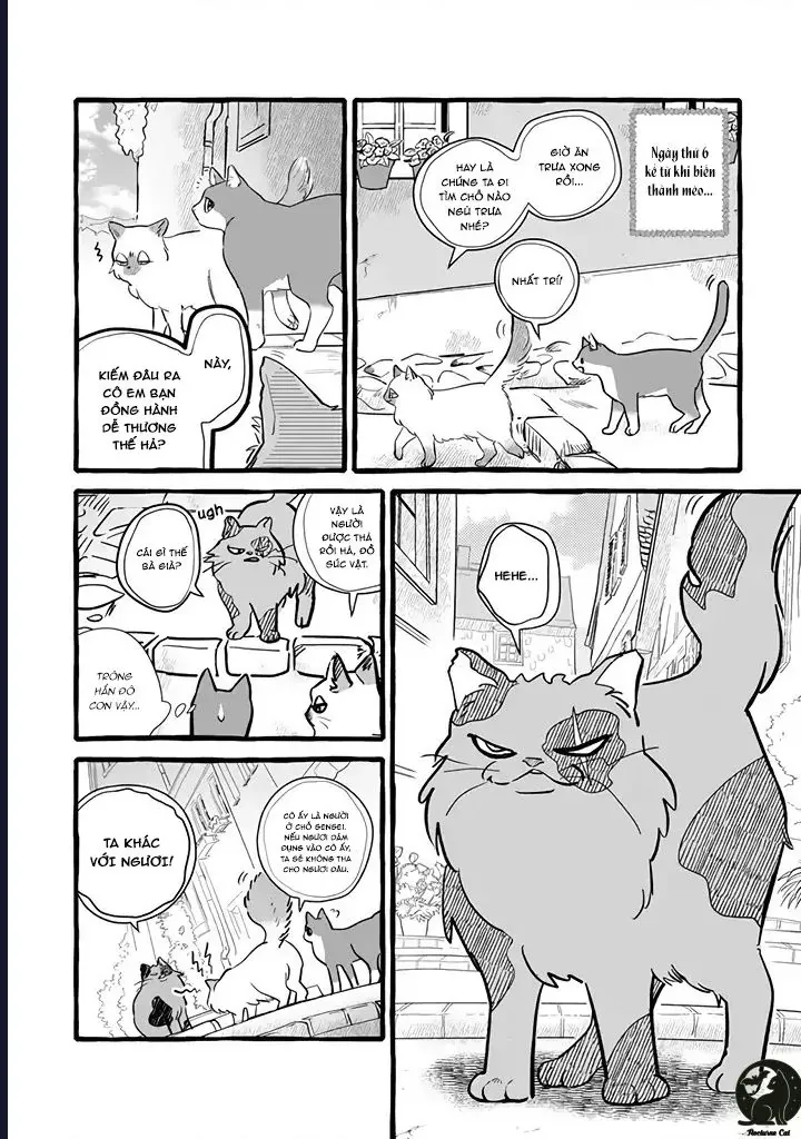 Liệu Có Thể Tìm Được Một Công Việc Lâu Dài Không? Bắt Đầu Cuộc Sống Mới Với Một Vị Pháp Sư Ít Nói Và Khó Gần~ Chap 11 - Next Chap 10