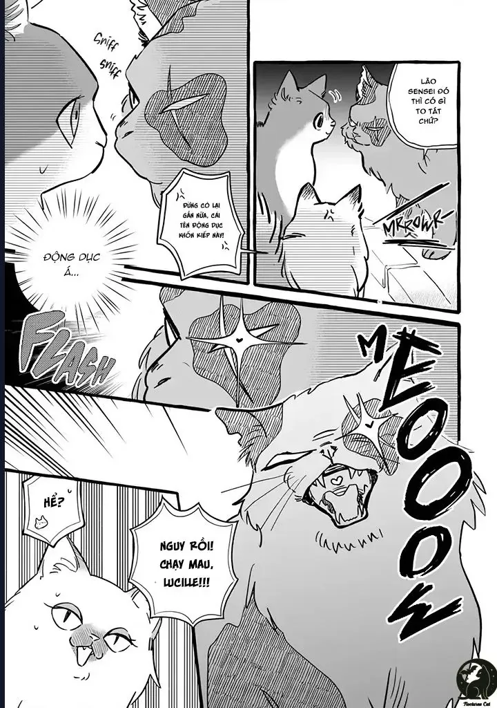 Liệu Có Thể Tìm Được Một Công Việc Lâu Dài Không? Bắt Đầu Cuộc Sống Mới Với Một Vị Pháp Sư Ít Nói Và Khó Gần~ Chap 11 - Next Chap 10