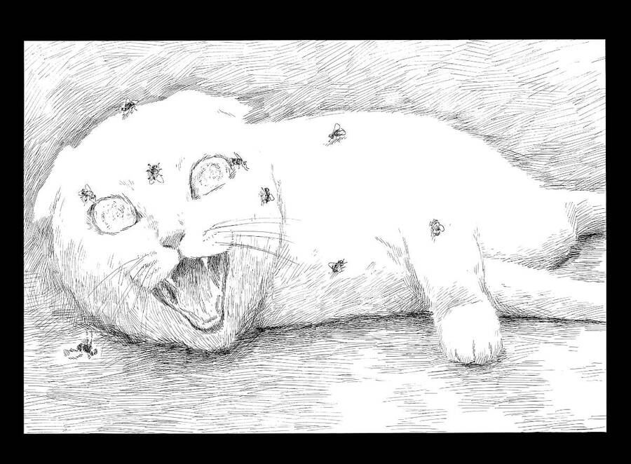 Đường Mòn Máu Chap 125 - Next Chap 124