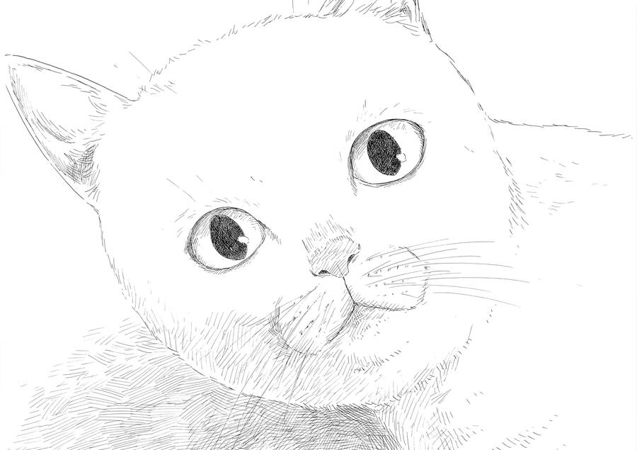 Đường Mòn Máu Chap 138 - Next Chap 137