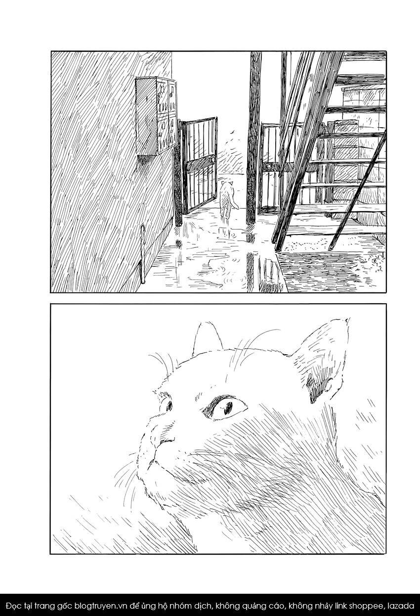 Đường Mòn Máu Chap 139 - Next Chap 138