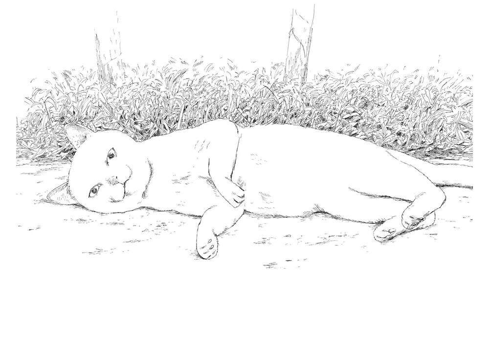 Đường Mòn Máu Chap 95 - Next Chap 94