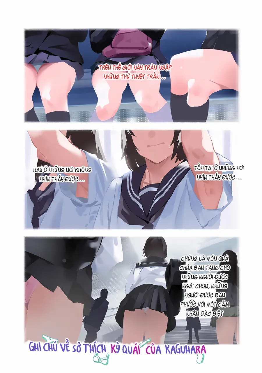 Ghi Chú Về Sở Thích Kỳ Quái Của Kaguhara Chap 1