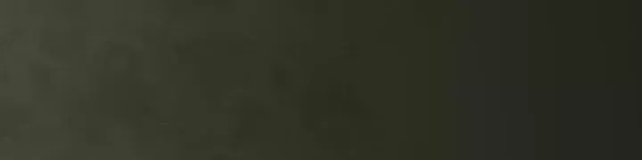 Võ Đại Lang Mạnh Nhất Tái Sinh Ở Thế Giới Thủy Hử Chap 26 - Next Chap 25