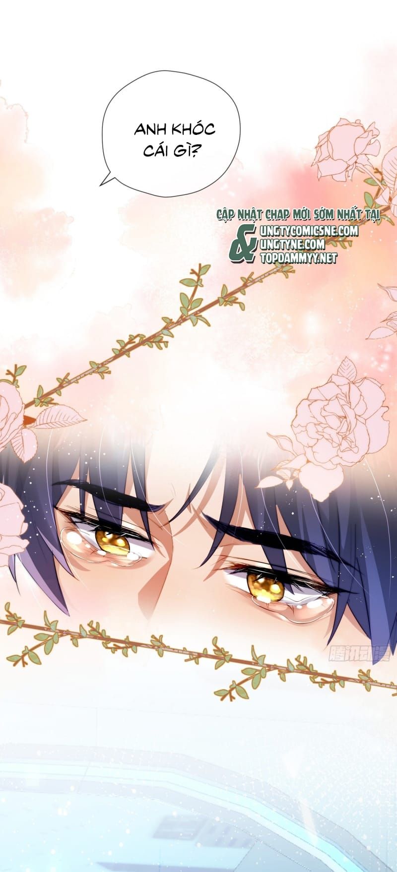 Cả Vũ Trụ Đều Muốn Thân Thiết Với Tôi Chap 17 - Next Chap 16