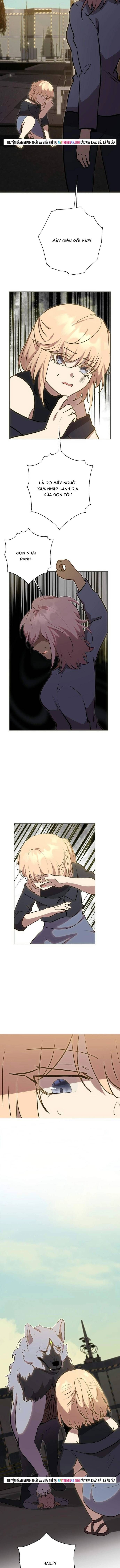 Trọng Sinh Mạc Thế Chap 248 - Next Chap 247