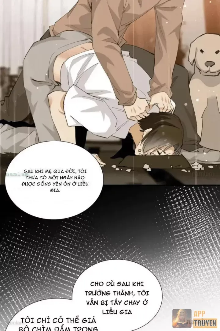 Tẩu Tử: Ta Thật Không Phải Kẻ Ngốc Chap 33 - Next Chap 32