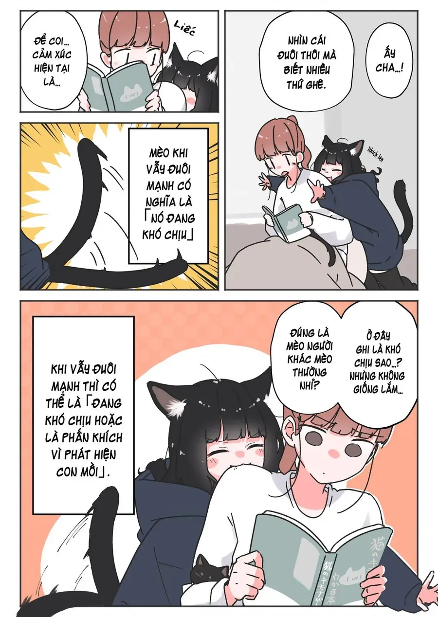 Câu Chuyện Về Con Mèo Đen Tự Nhiên Biến Thành Người. [Chap 14-17]