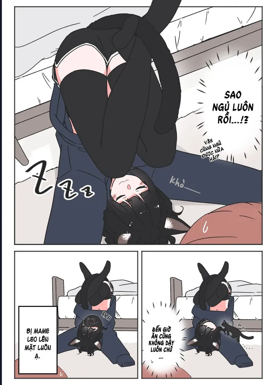 Câu Chuyện Về Con Mèo Đen Tự Nhiên Biến Thành Người. [Chap 14-17]