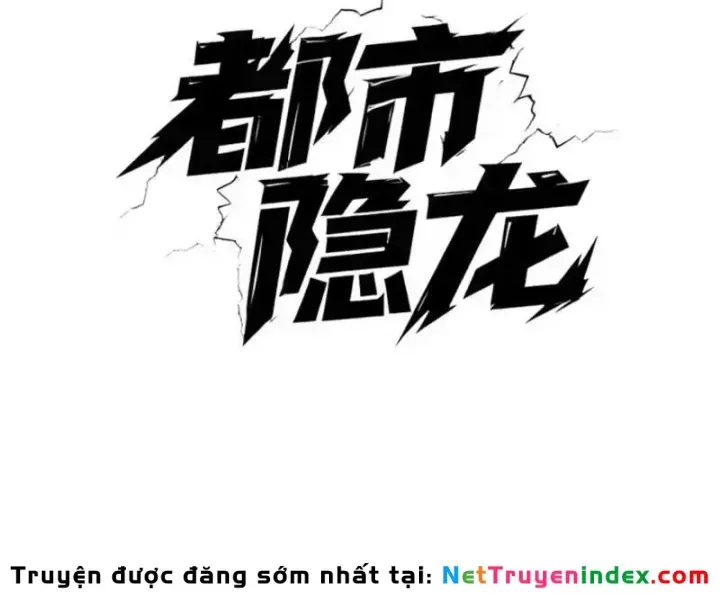 Ẩn Long Đô Thị Chap 39 - Next Chap 38