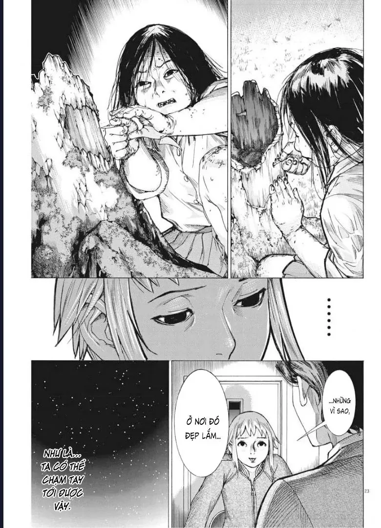 Đám Cưới Của Natsume Arata Chap 51 - Next Chap 50