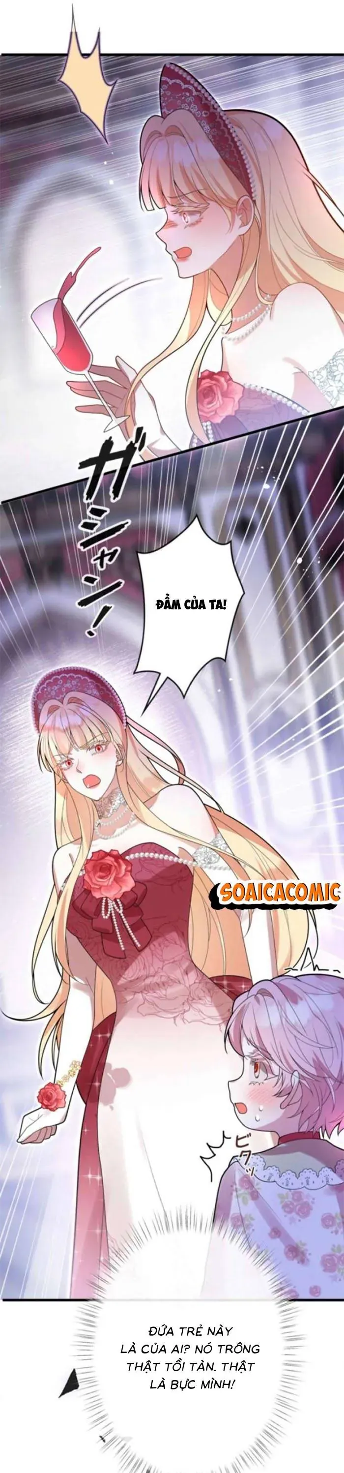 me-don-than-va-noi-am-anh-cua-thai-tu-23