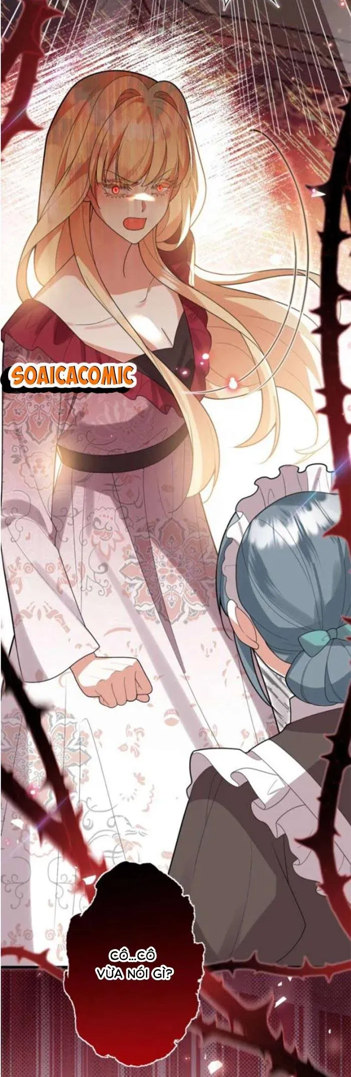 me-don-than-va-noi-am-anh-cua-thai-tu-8