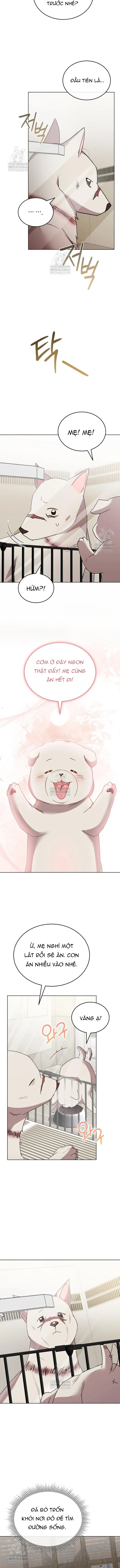 Trang 11 - Xin Chào! Bác Sĩ Thú Y