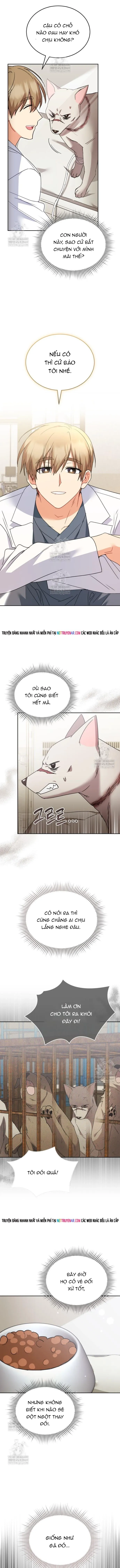 Trang 8 - Xin Chào! Bác Sĩ Thú Y
