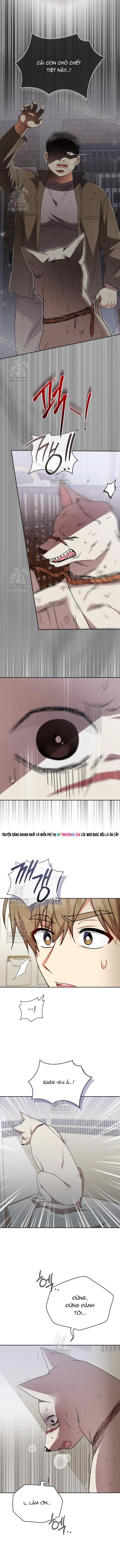 Trang 9 - Xin Chào! Bác Sĩ Thú Y