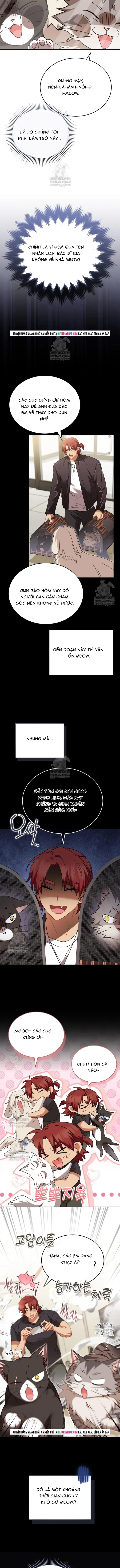 Trang 2 - Xin Chào! Bác Sĩ Thú Y