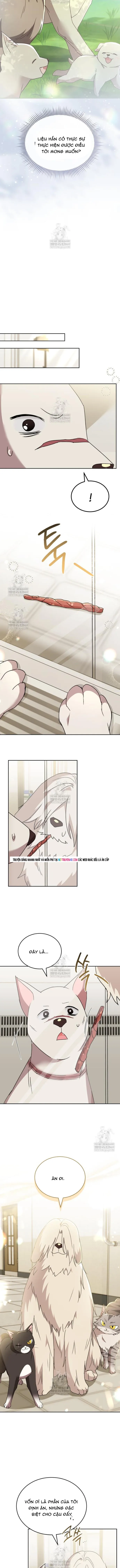 Trang 6 - Xin Chào! Bác Sĩ Thú Y