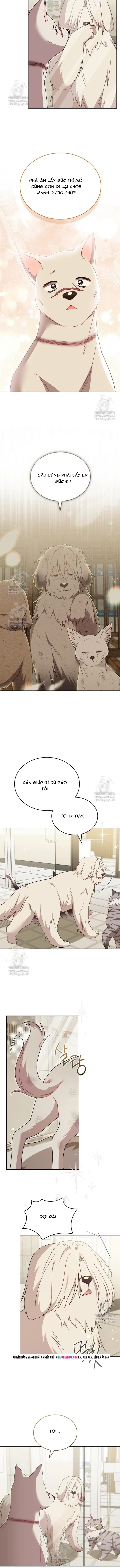 Trang 7 - Xin Chào! Bác Sĩ Thú Y