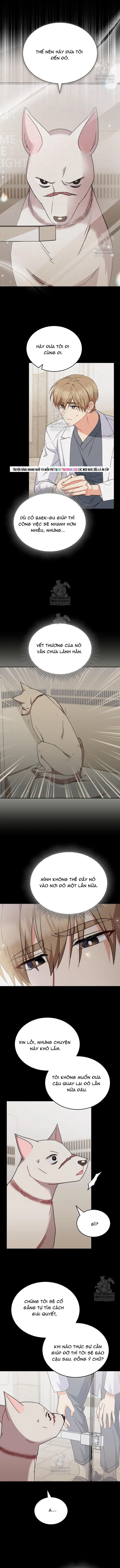 Trang 2 - Xin Chào! Bác Sĩ Thú Y