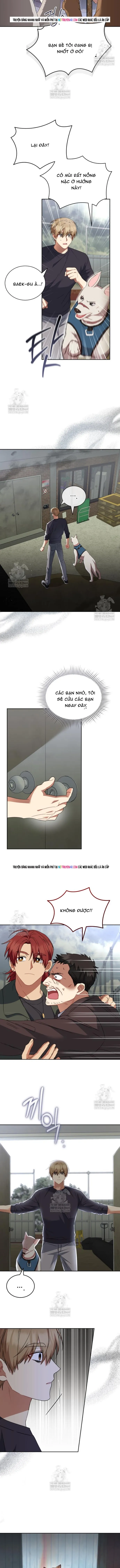 Trang 10 - Xin Chào! Bác Sĩ Thú Y